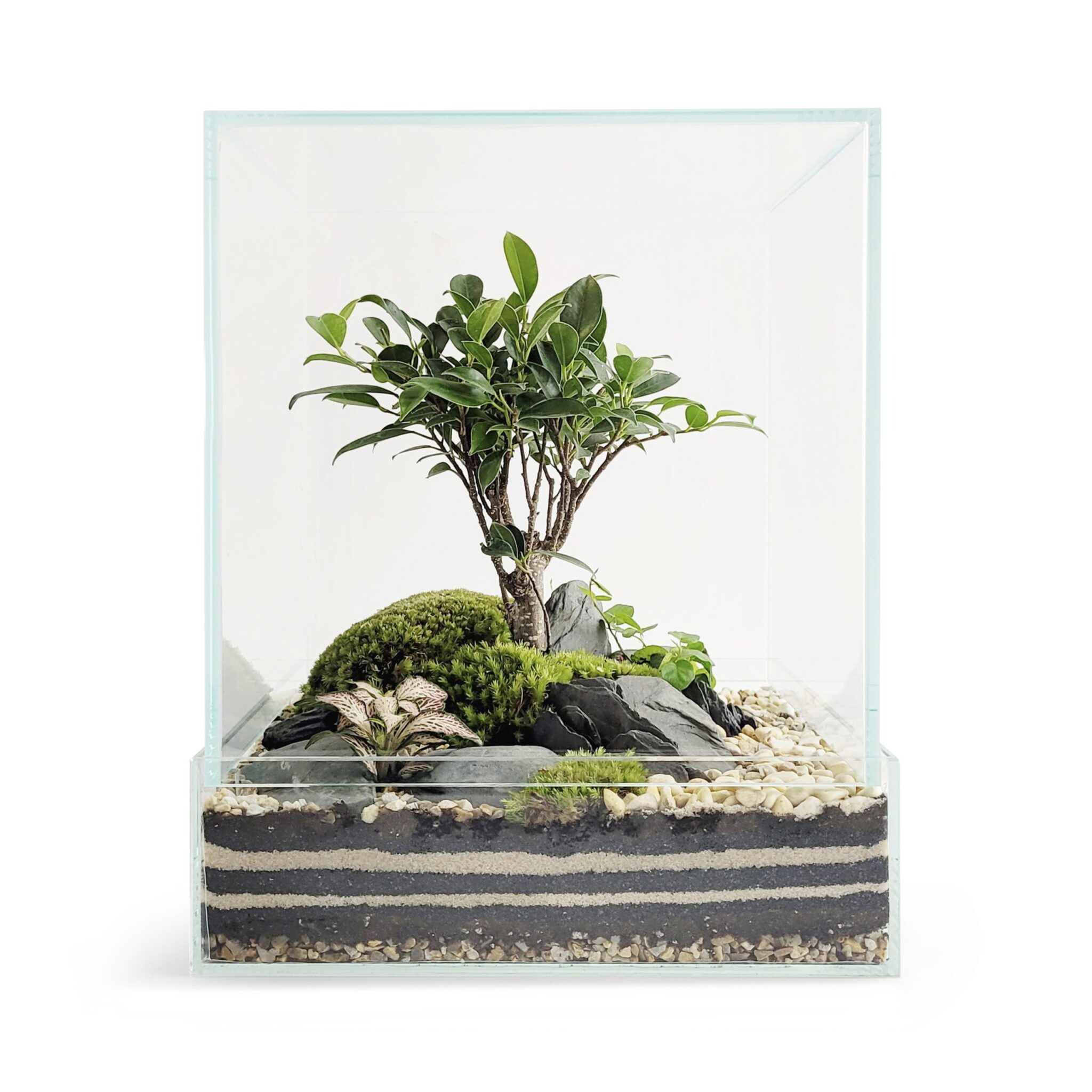 CUBE FOREST