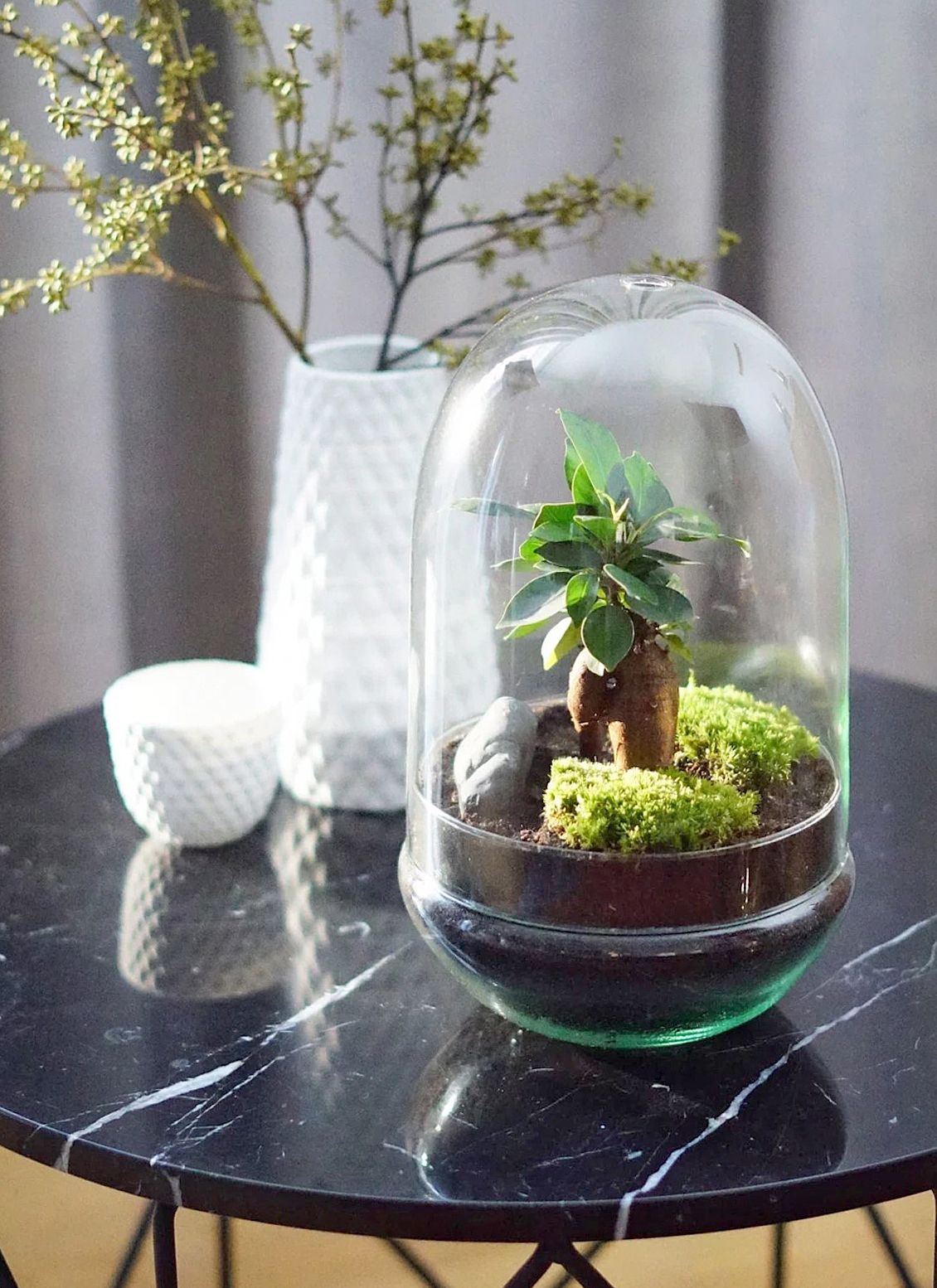 SELWAR TERRARIUM Madagascar Hole_det