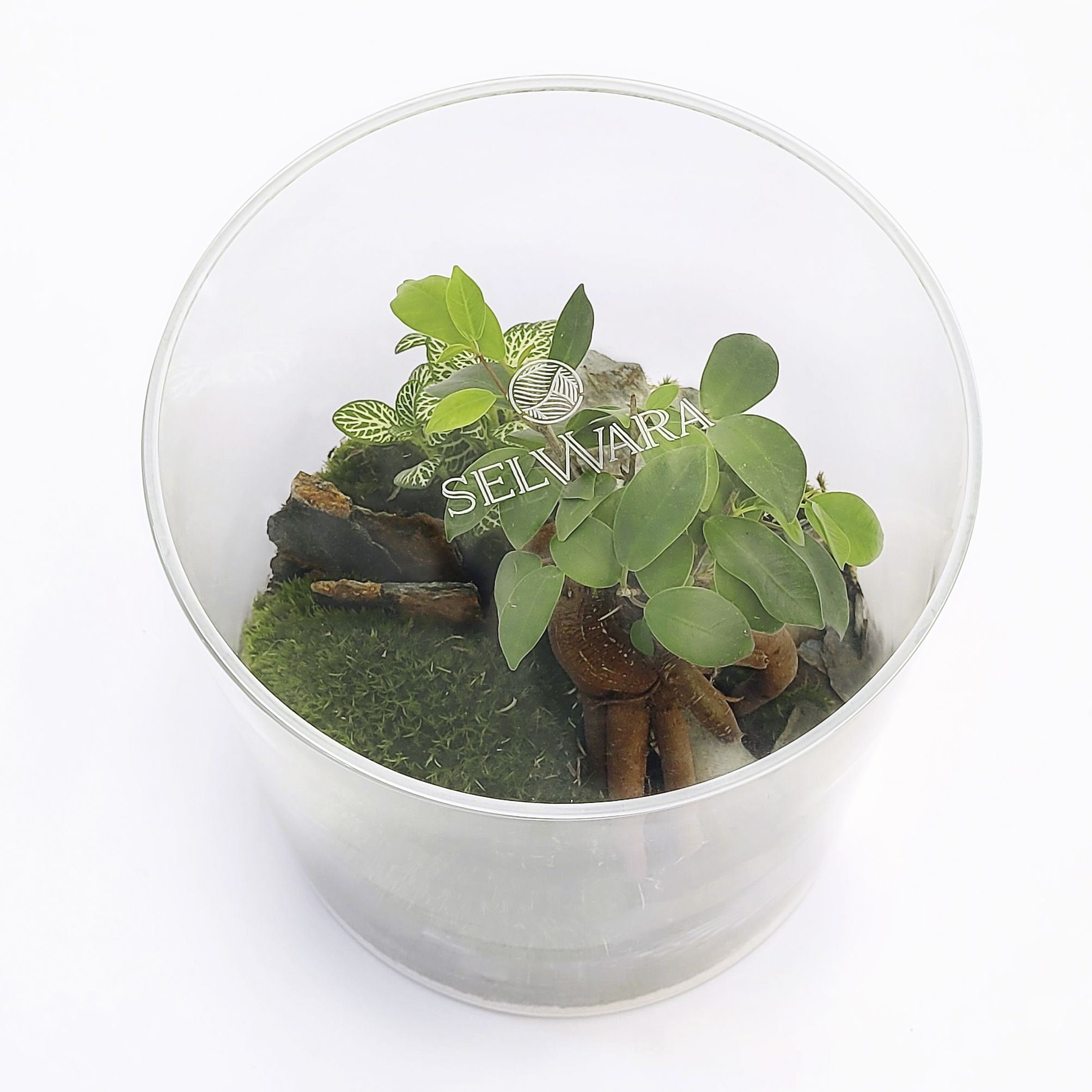 SELWARA AMAZONIA FOREST TAPA_3