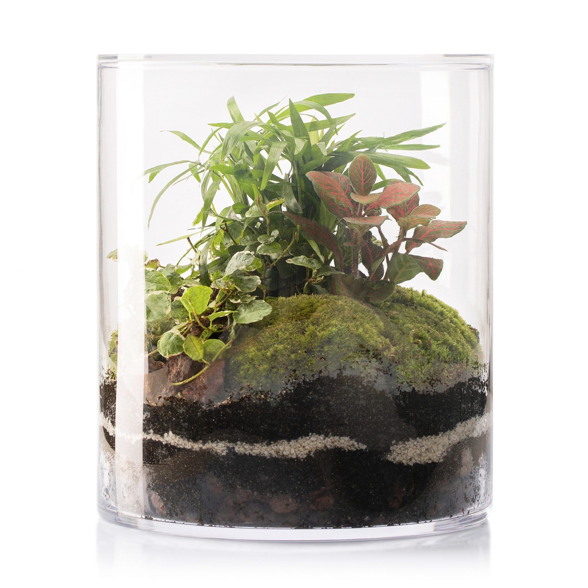 SELWARA AMAZONIA FOREST_1x2v3