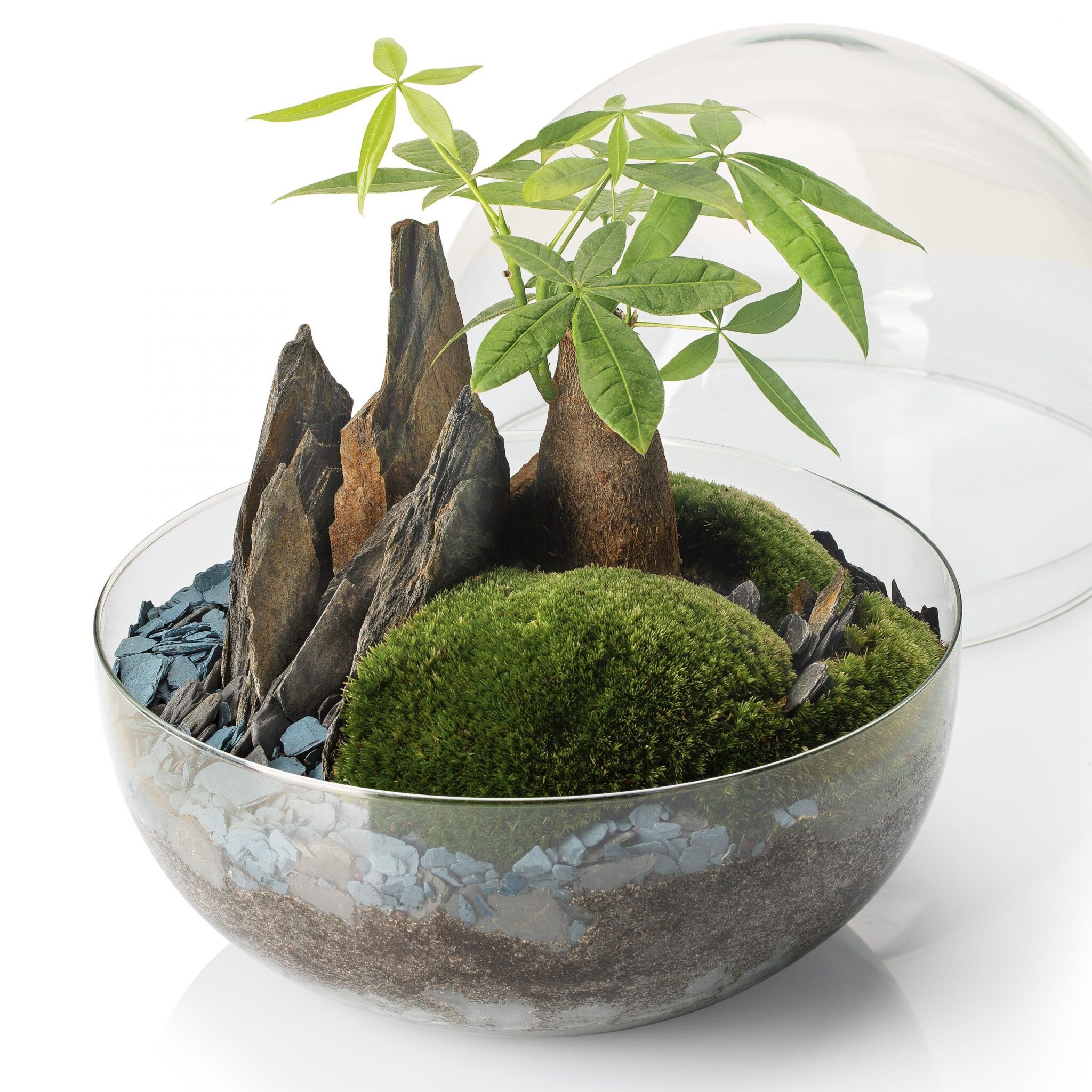 SELWARA BORNEO TERRA_PERSPECTIVA_1_2