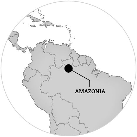 SELWARA_Mapa mundi Amazonia1