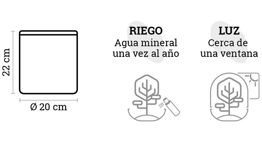 SELWARA_iconos dimensiones AMAZONIA FOREST