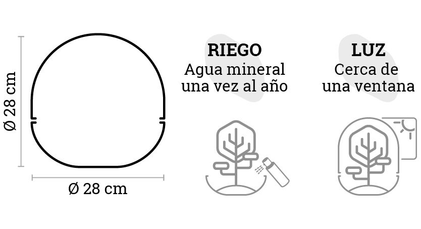 SELWARA_iconos dimensiones BORNEO TERRA