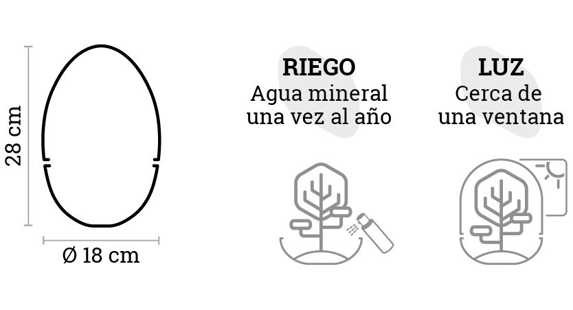 SELWARA_iconos dimensiones ERAWAN