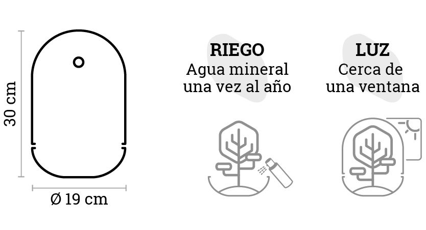 SELWARA_iconos dimensiones MADAGASCAR HOLE