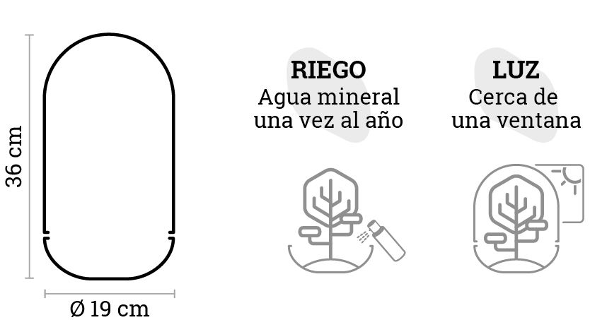 SELWARA_iconos dimensiones MADAGASCAR RAIN