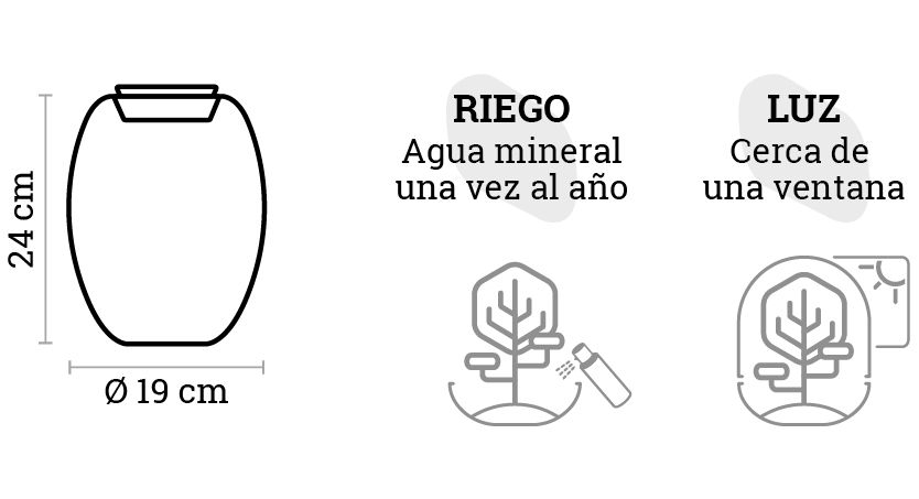 SELWARA_iconos dimensiones CONGO_1