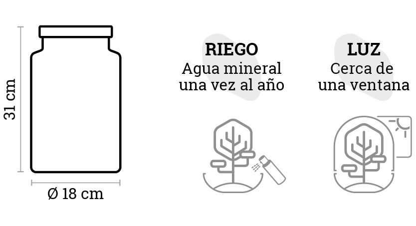 SELWARA_iconos dimensiones IRATI_1