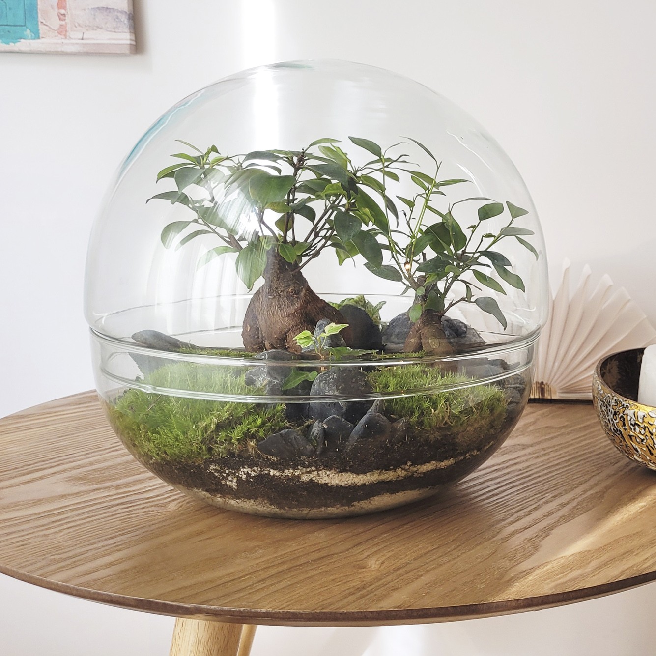 Selwara_Terrarium_ES
