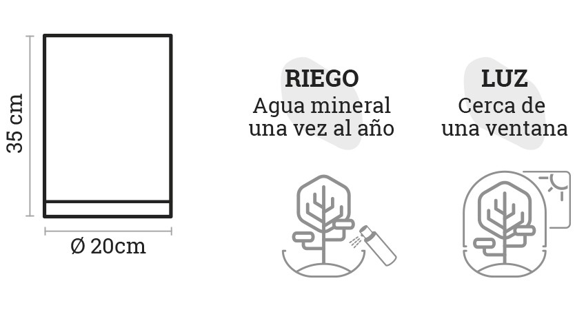 SELWARA_iconos dimensiones
