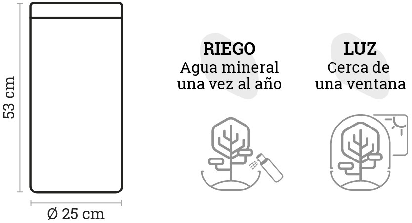 SELWARA_iconos dimensiones