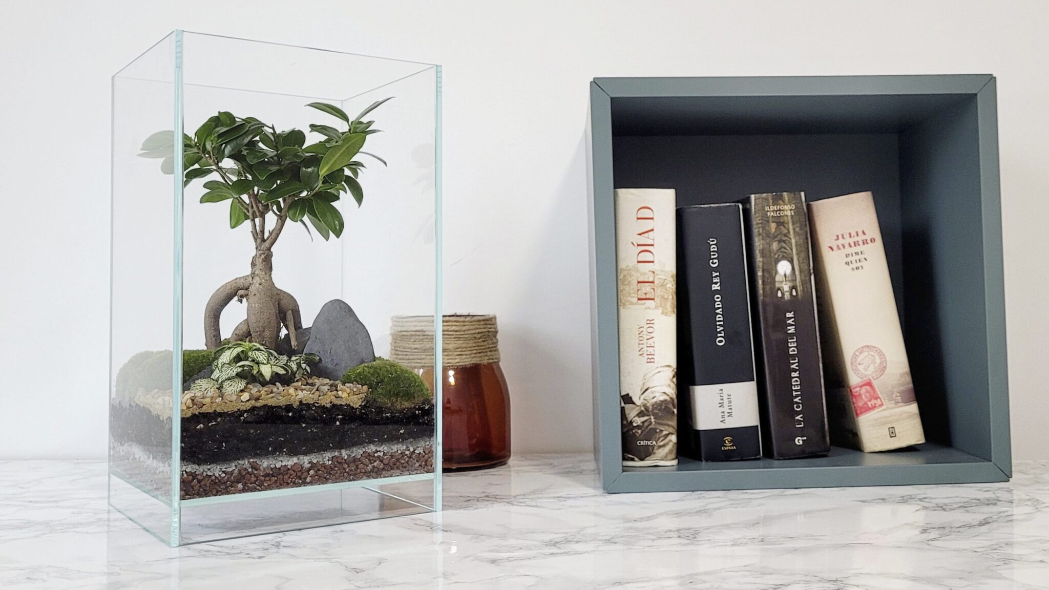Selwara terrarium