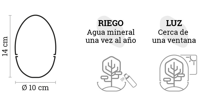 SELWARA_iconos dimensiones