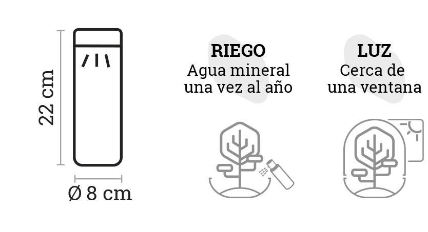 SELWARA_iconos dimensiones