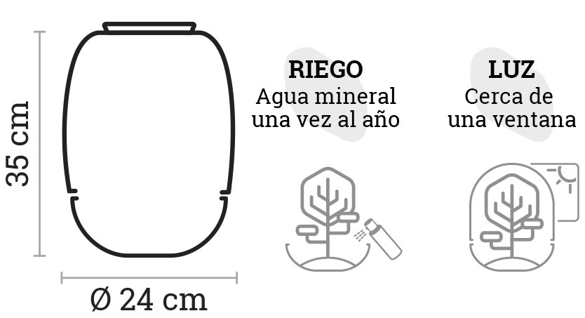 SELWARA_iconos dimensiones