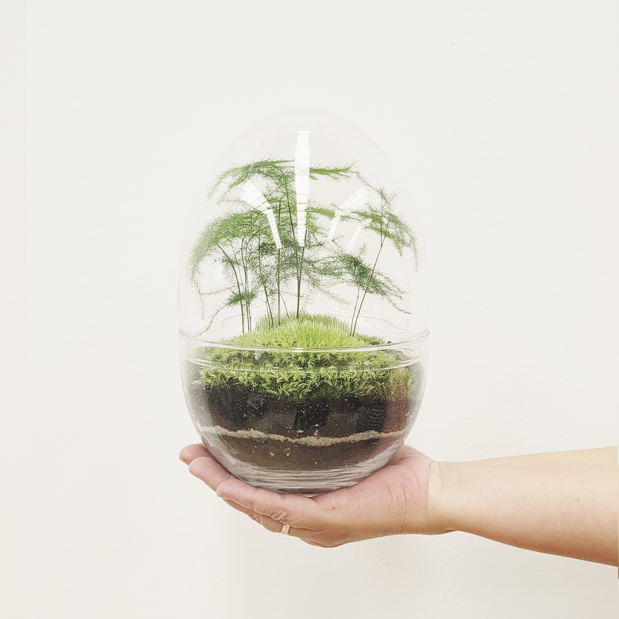 erawan SELWARA TERRARIUM Selwatra_Terrarium