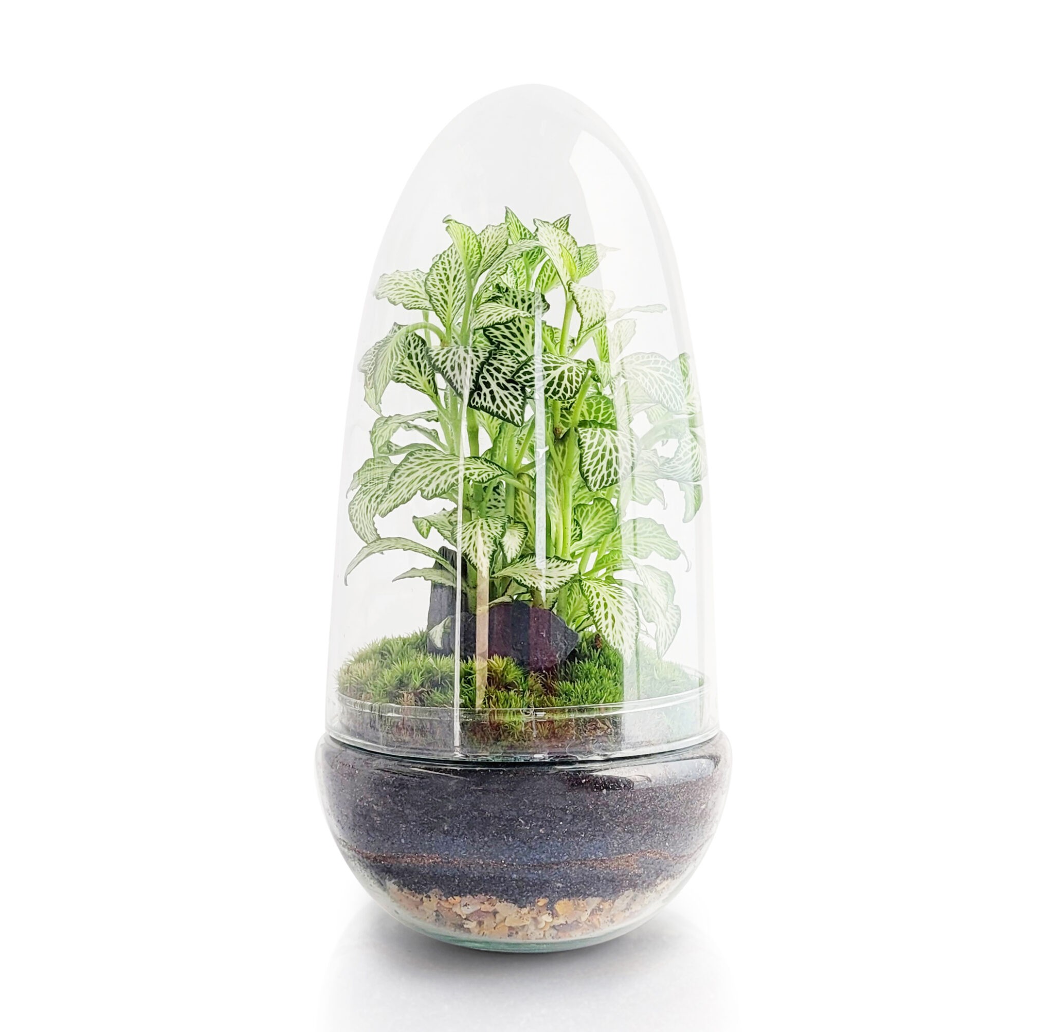 Manoa-Jar