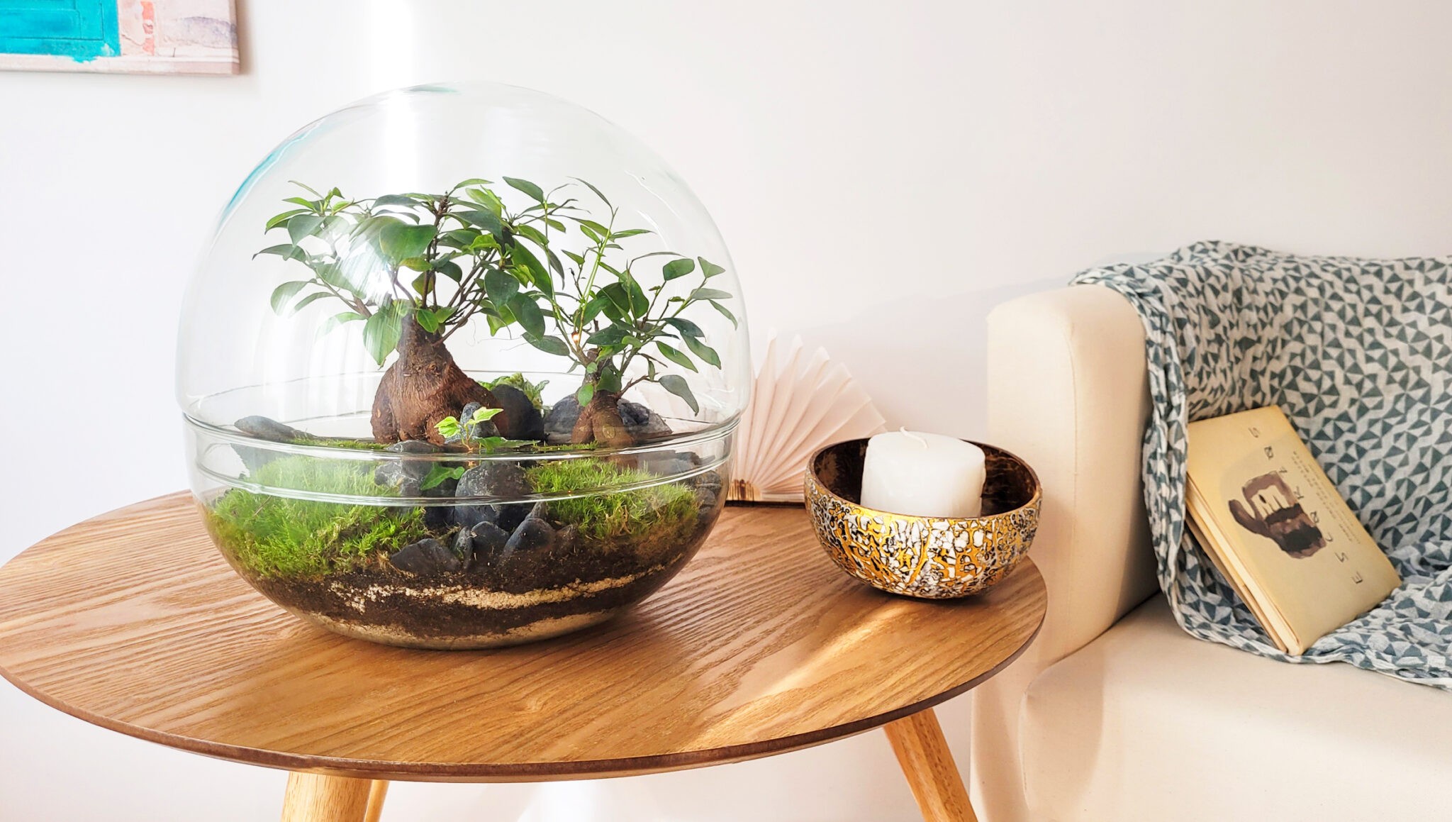 Selwara terrarium