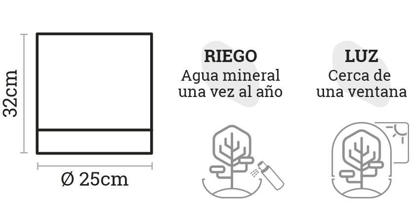 SELWARA_iconos dimensiones