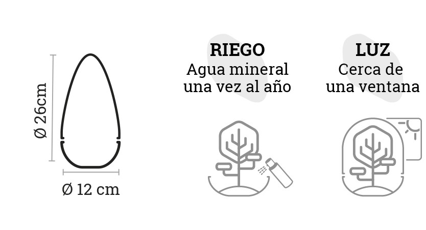SELWARA_iconos dimensiones